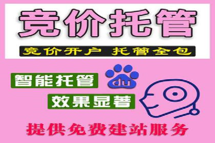 Sem优化公司成功案例：优化效果显著，客户好评如潮